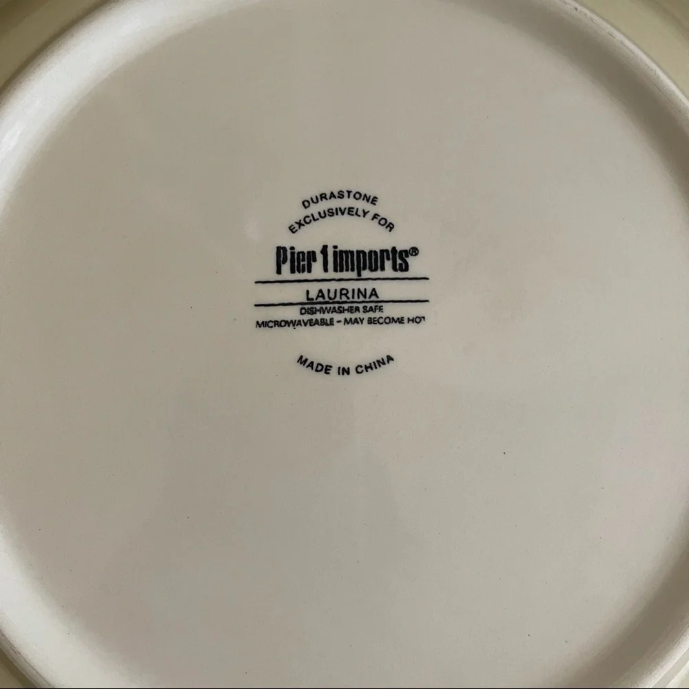 Pier 1 Imports Durastone Laurina Dinner Plate